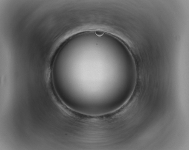 X0000114671507200910211140