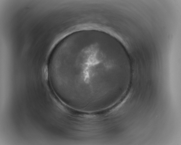 X0000114671509200910211140