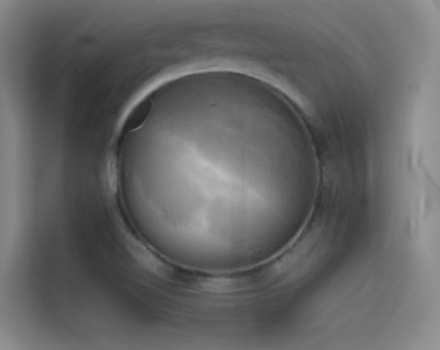 X0000114671510200910211140