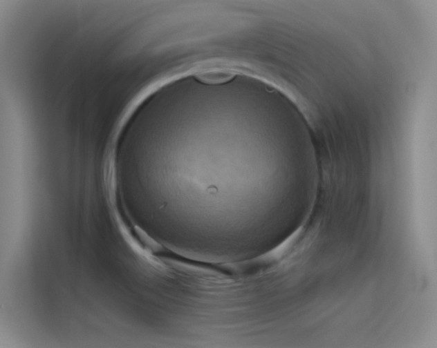 X0000114671515200910211140