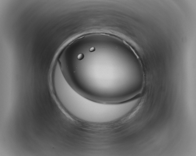 X0000114671517200910211140