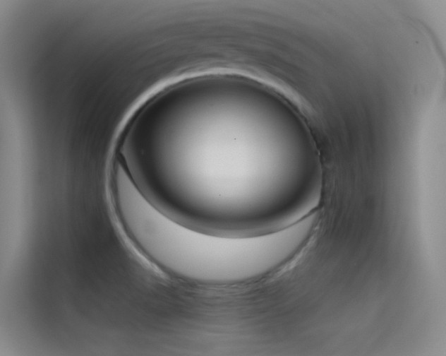 X0000114671518200910211140