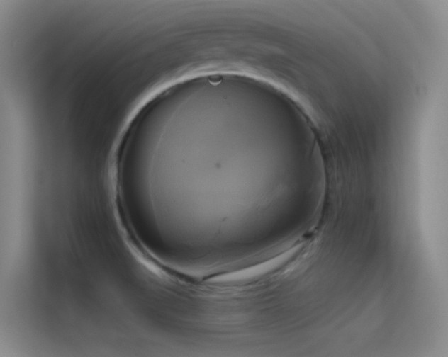 X0000114671519200910211140