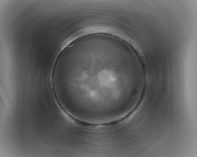 X0000114671521200910211140
