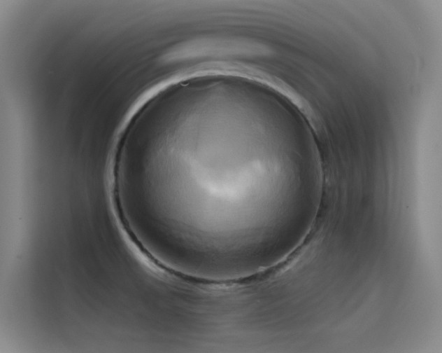 X0000114671523200910211140