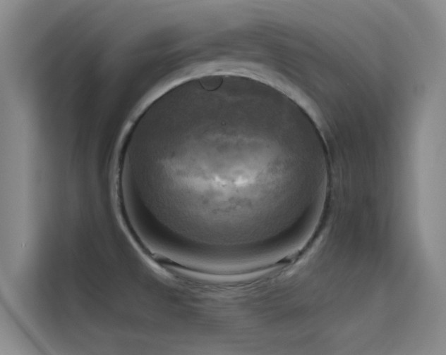 X0000114671525200910211140