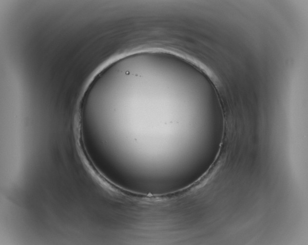 X0000114671526200910211140