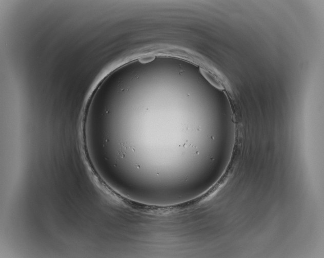 X0000114671530200910211140