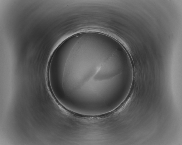 X0000114671533200910211140