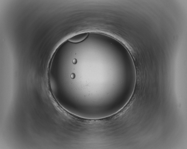 X0000114671534200910211140