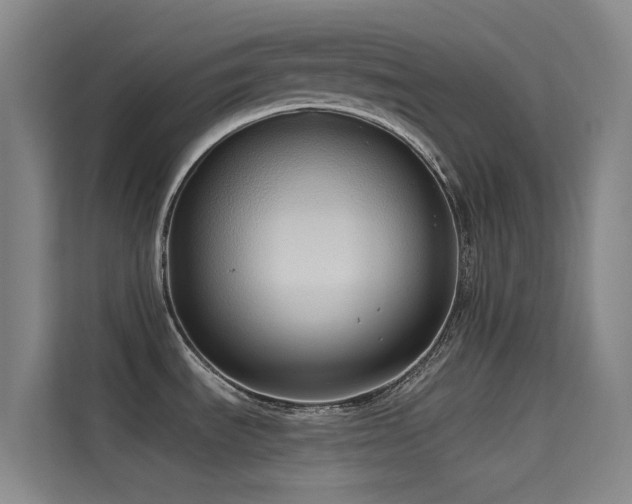 X0000114671535200910211140