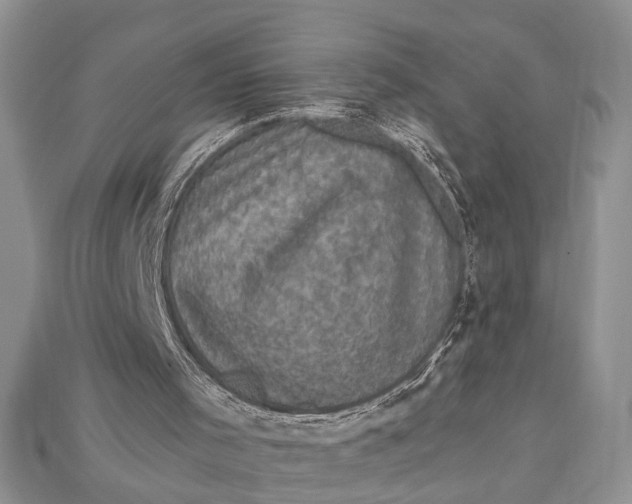 X0000114670001200911121342