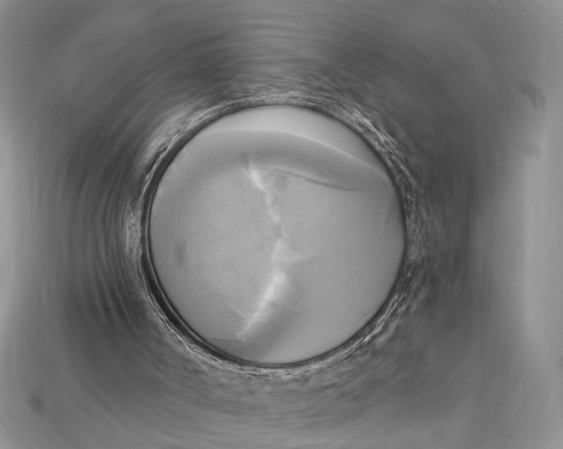 X0000114670002200911121342