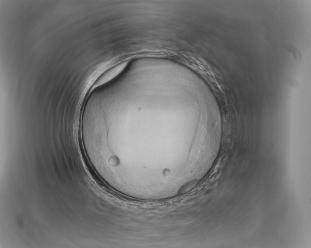 X0000114670003200911121342