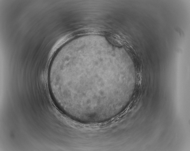 X0000114670004200911121342