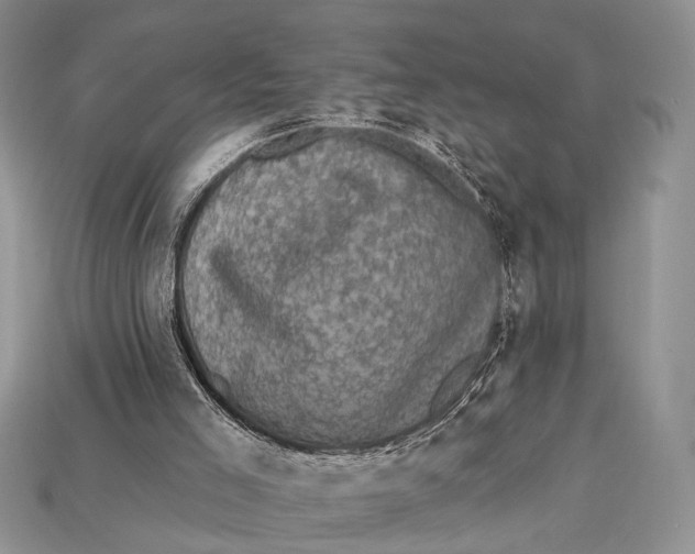 X0000114670005200911121342