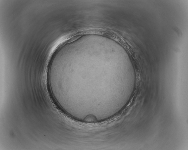 X0000114670006200911121342