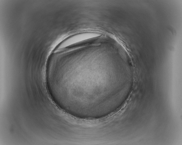 X0000114670008200911121342