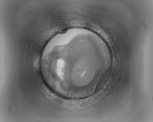 X0000114670009200911121342