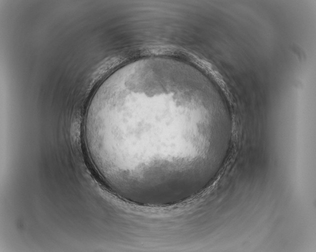 X0000114670010200911121342