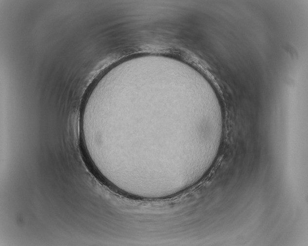 X0000114670011200911121342