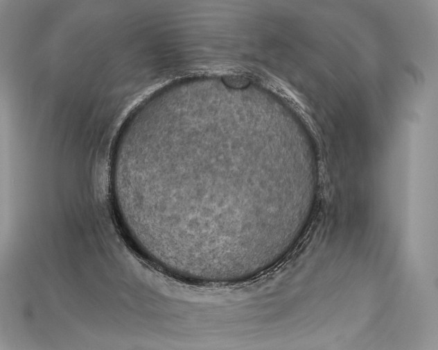 X0000114670012200911121342