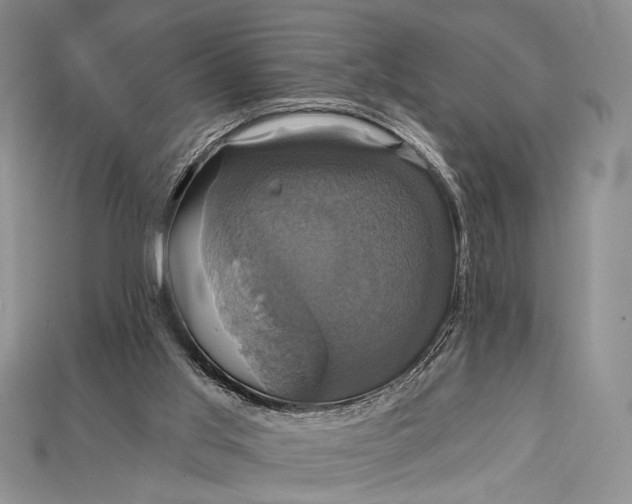 X0000114670013200911121342