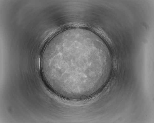 X0000114670014200911121342