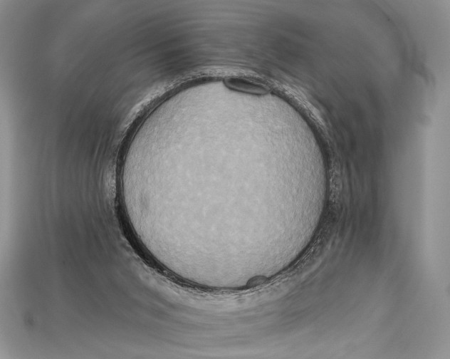 X0000114670015200911121342