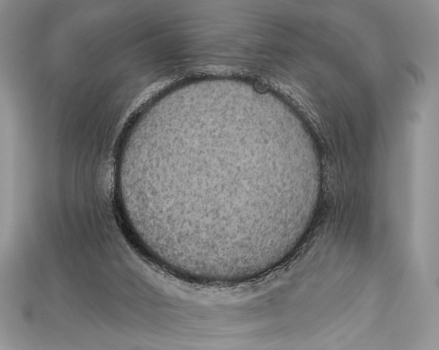 X0000114670016200911121342