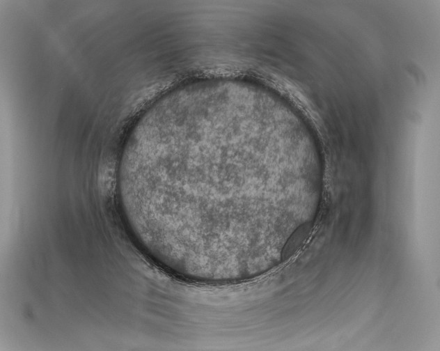 X0000114670017200911121342