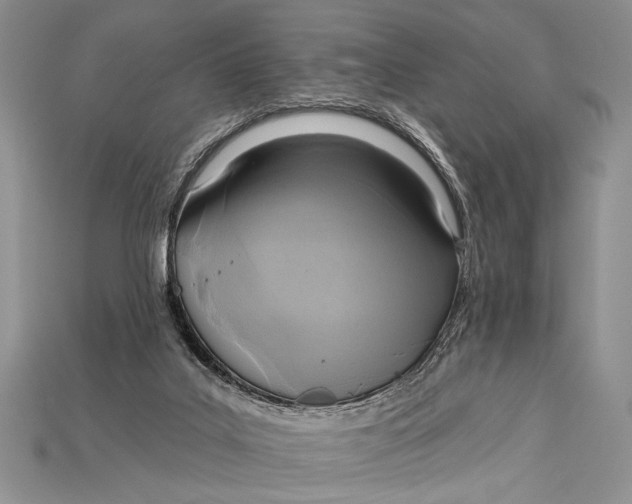 X0000114670019200911121342