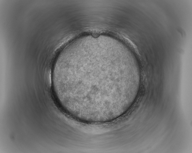 X0000114670020200911121342