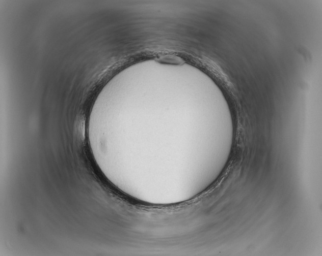 X0000114670021200911121342