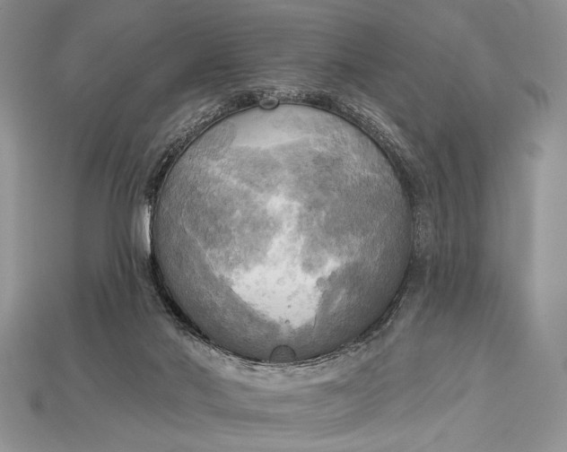 X0000114670022200911121342