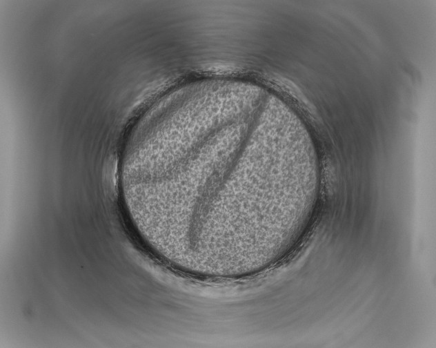 X0000114670024200911121342