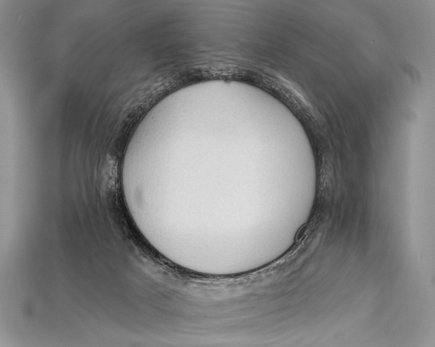 X0000114670025200911121342