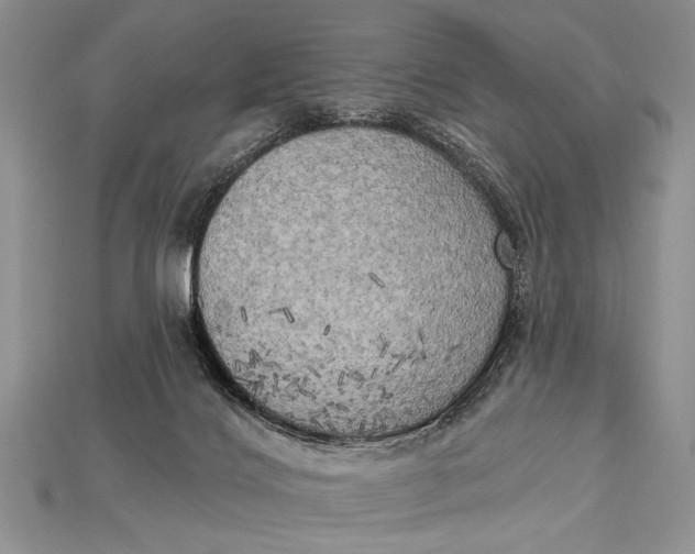 X0000114670028200911121342