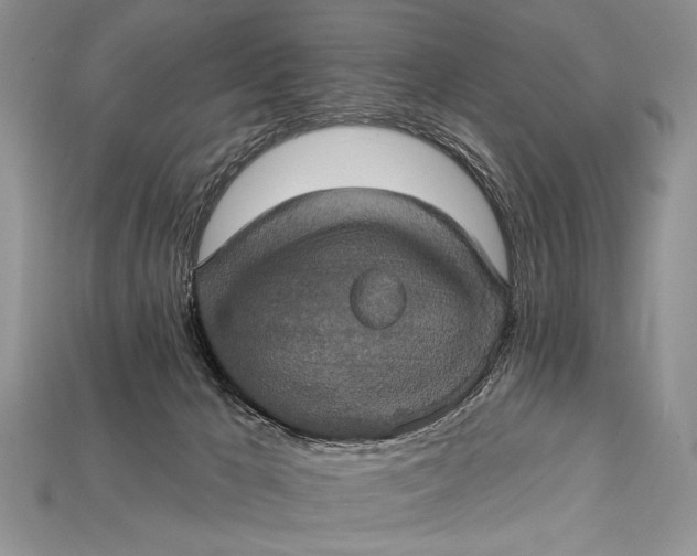 X0000114670029200911121342