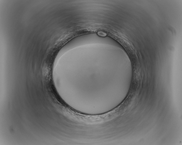 X0000114670031200911121342