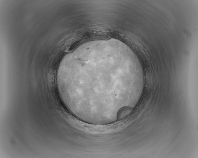 X0000114670034200911121342