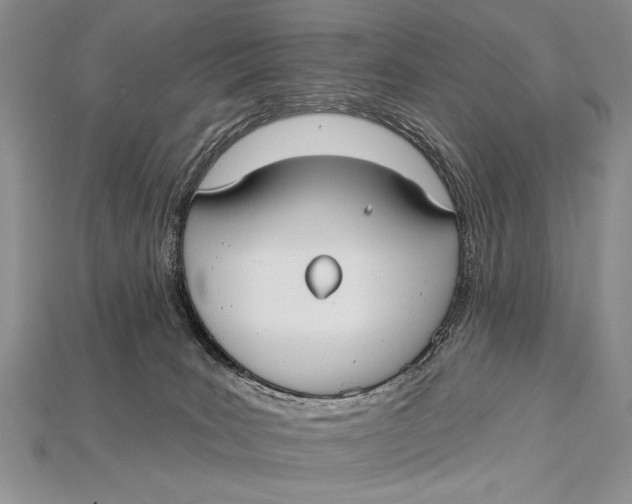 X0000114670035200911121342