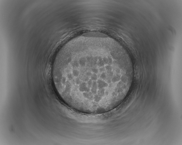 X0000114670036200911121342