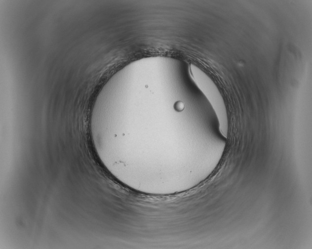 X0000114670037200911121342