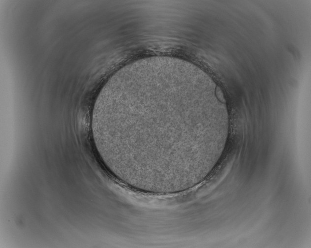 X0000114670040200911121342