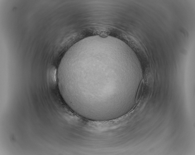 X0000114670041200911121342