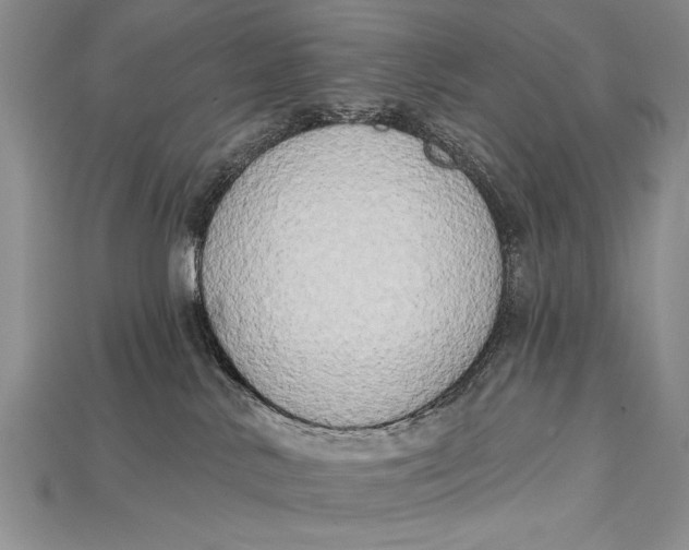 X0000114670042200911121342