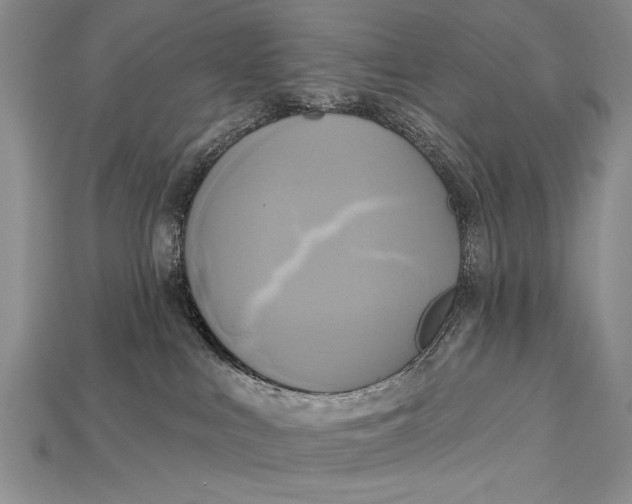 X0000114670043200911121342