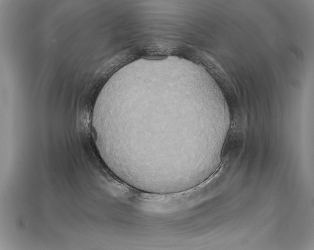 X0000114670045200911121342