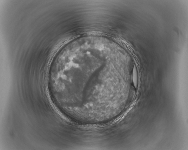 X0000114670049200911121341